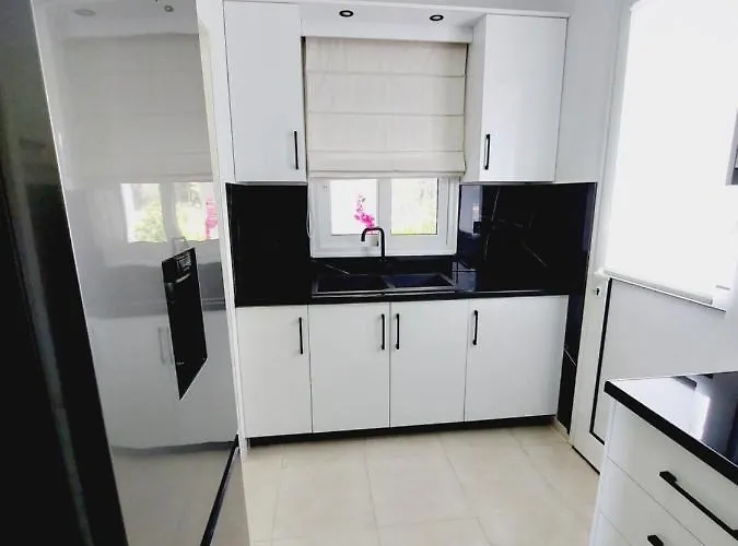 Daniela لوتراكي